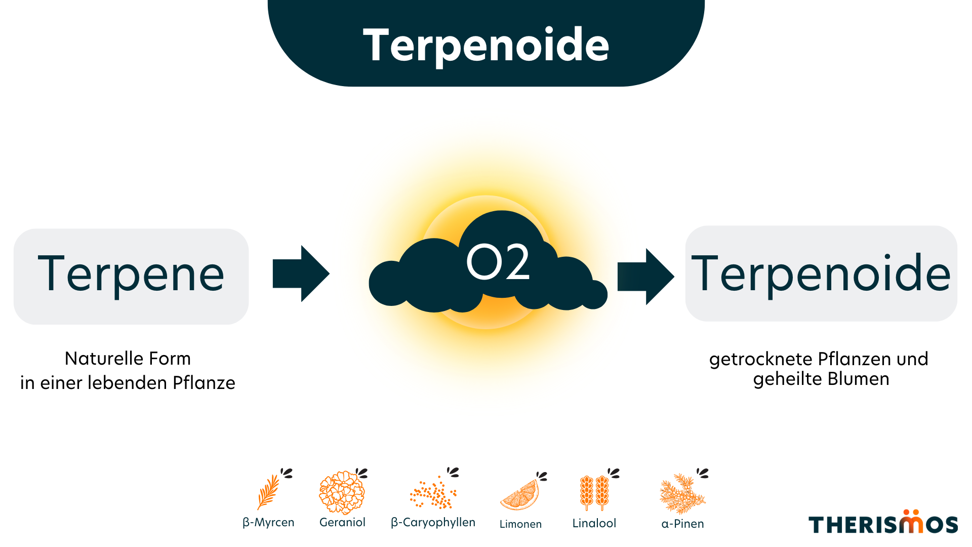 Terpenoide_Terpene_Medizinal_Cannabis_Therismos